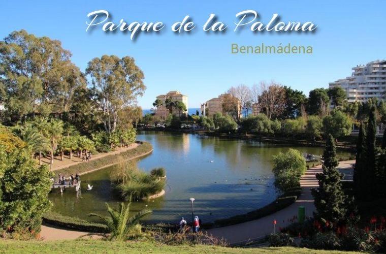 Benalbeach Loft Benalmadena Bagian luar foto